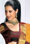 Pure Kancheevaram Silks - 2010